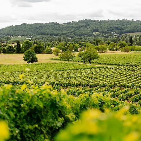 Chateau Camp Del Saltre Prayssac