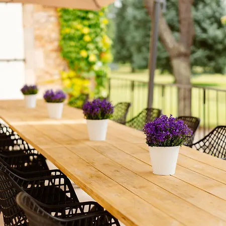 Chateau Camp Del Saltre Prayssac